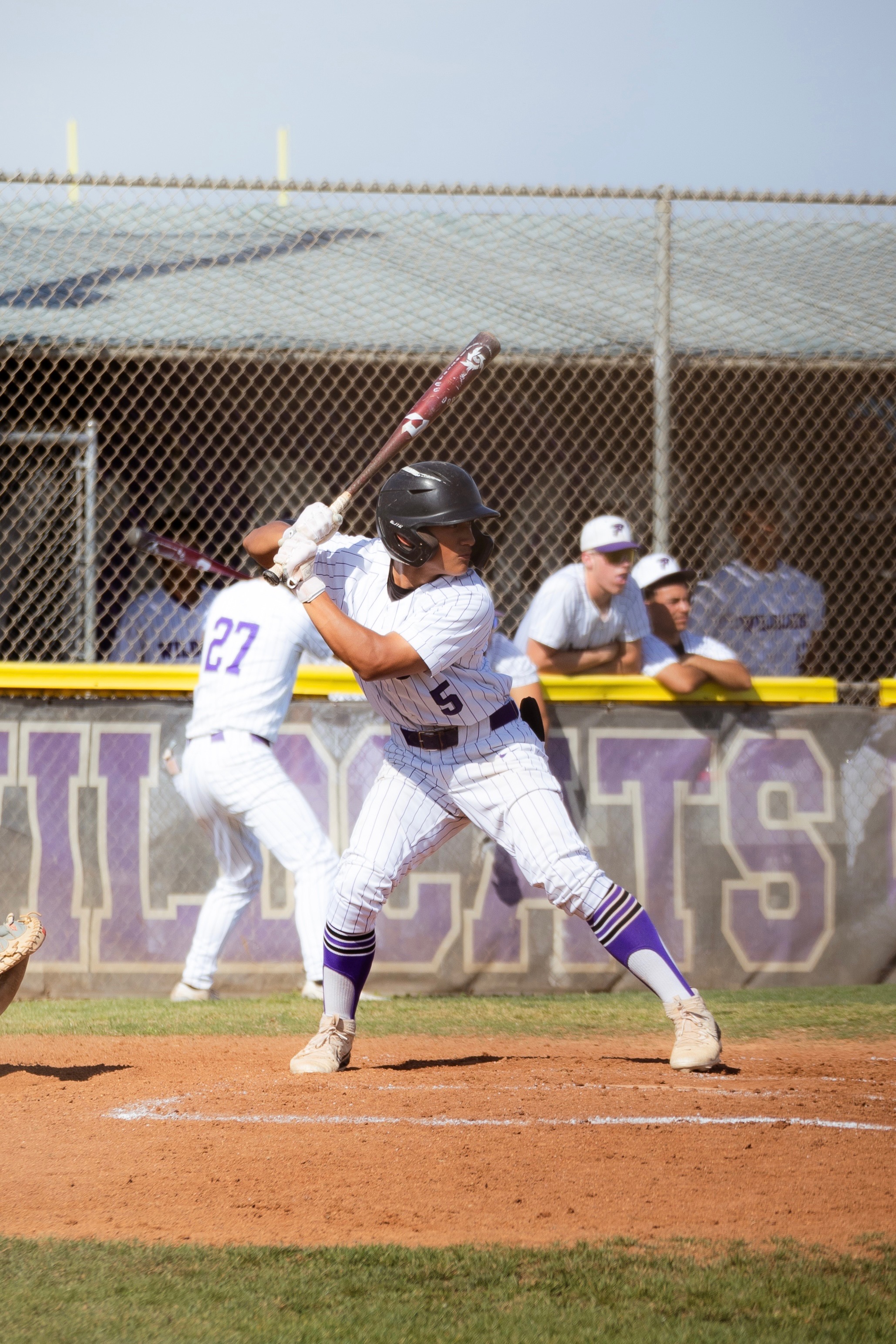 Baseball batter at plate