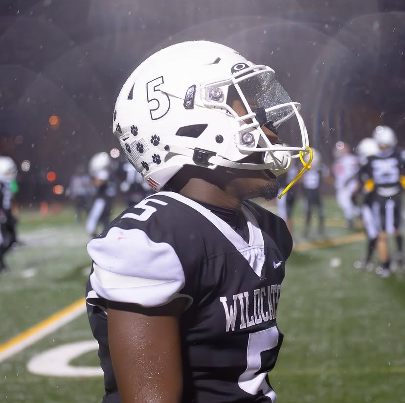 Sports photography sample — football helmet profile